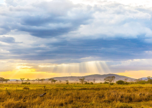 Dramatic-landscape-view-of-Serengeti-National-Park-Tanzania